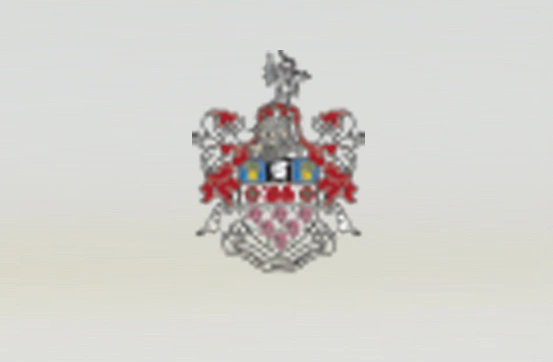 Raster-to-Vector-Graphics_Before